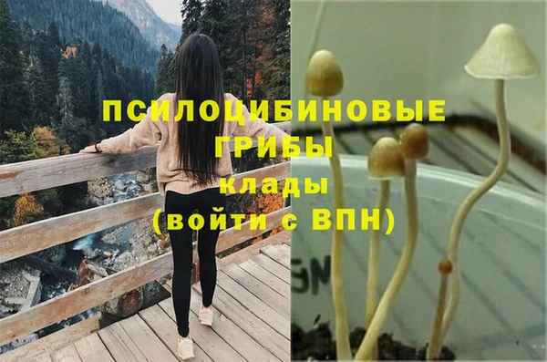 MDMA Premium VHQ Волоколамск