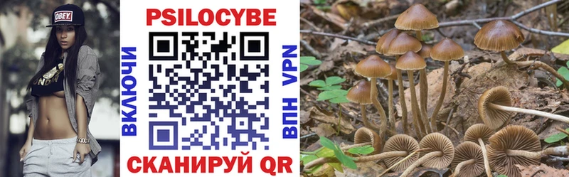 Купить  Среднеколымск  Псилоцибиновые грибы мицелий 